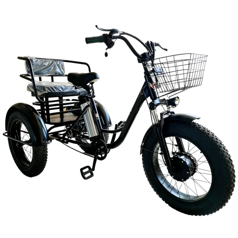 3-Rad 20-Zoll Fatbike für Erwachsene mit herausnehmbarem Akku, Elektrofahrrad 48V 500W, Elektro-Mountainbike mit Gepäckträger