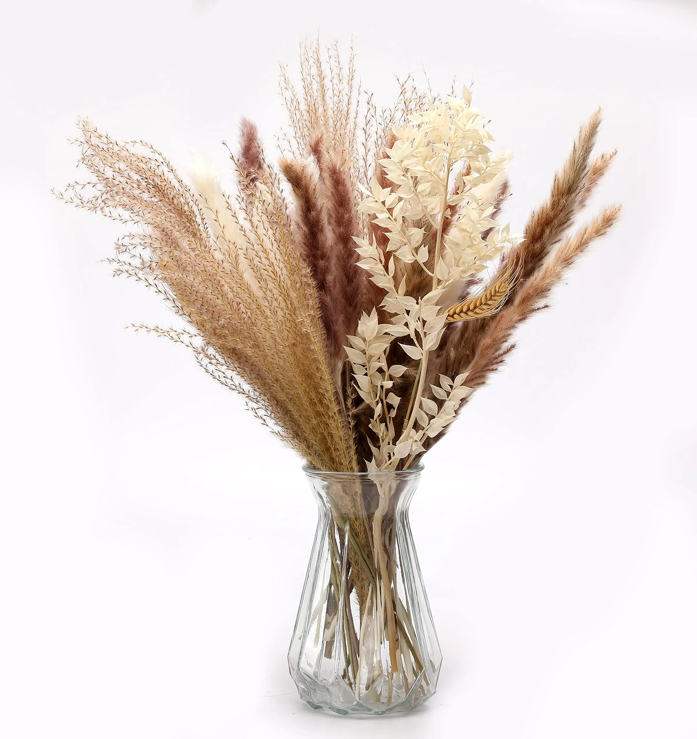 

Ruscus Leaves Real Dried Flowers,Natural Dried Dried Bunny Tails Pampas Grass for Flower Arrangements for Wedding Home Decor