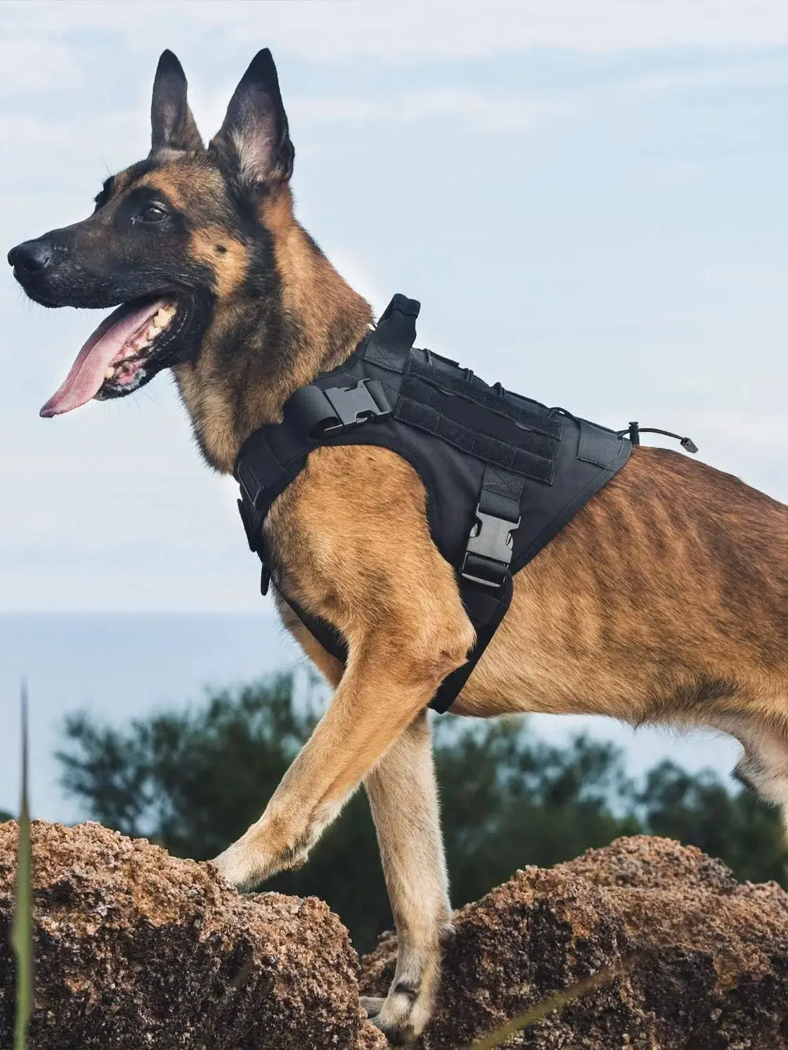 Hundegeschirr, taktisches Hundegeschirr mit Griff, No-Pull-Service-Hundeweste mit Klettverschlussplatten, verstellbares Hundegeschirr für Wa