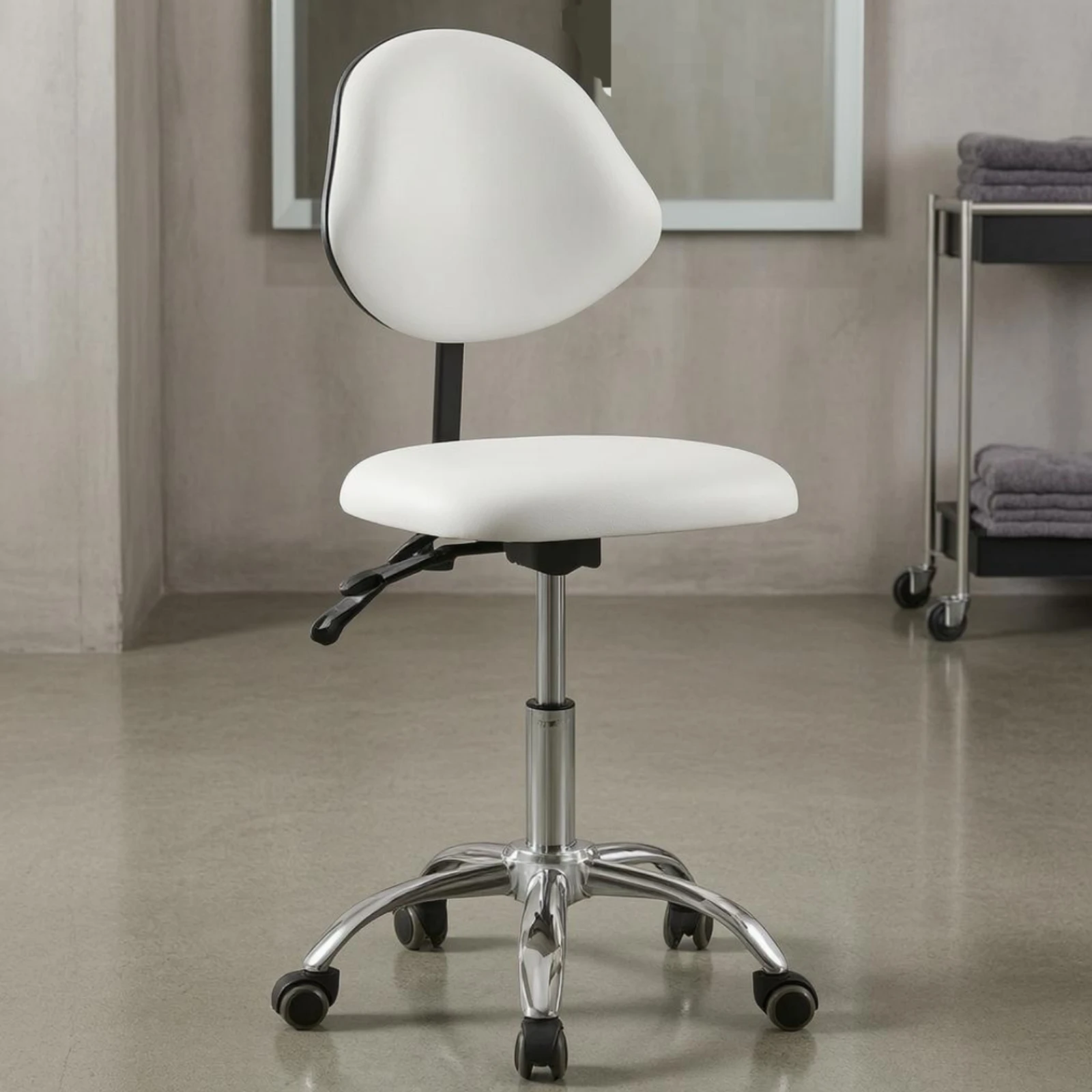 

Rolling Salon Stool Five-Caster Base Swivel Stool Chair Seating Furniture Lever Adjustment Padded Seat for Dental Care, Workshop