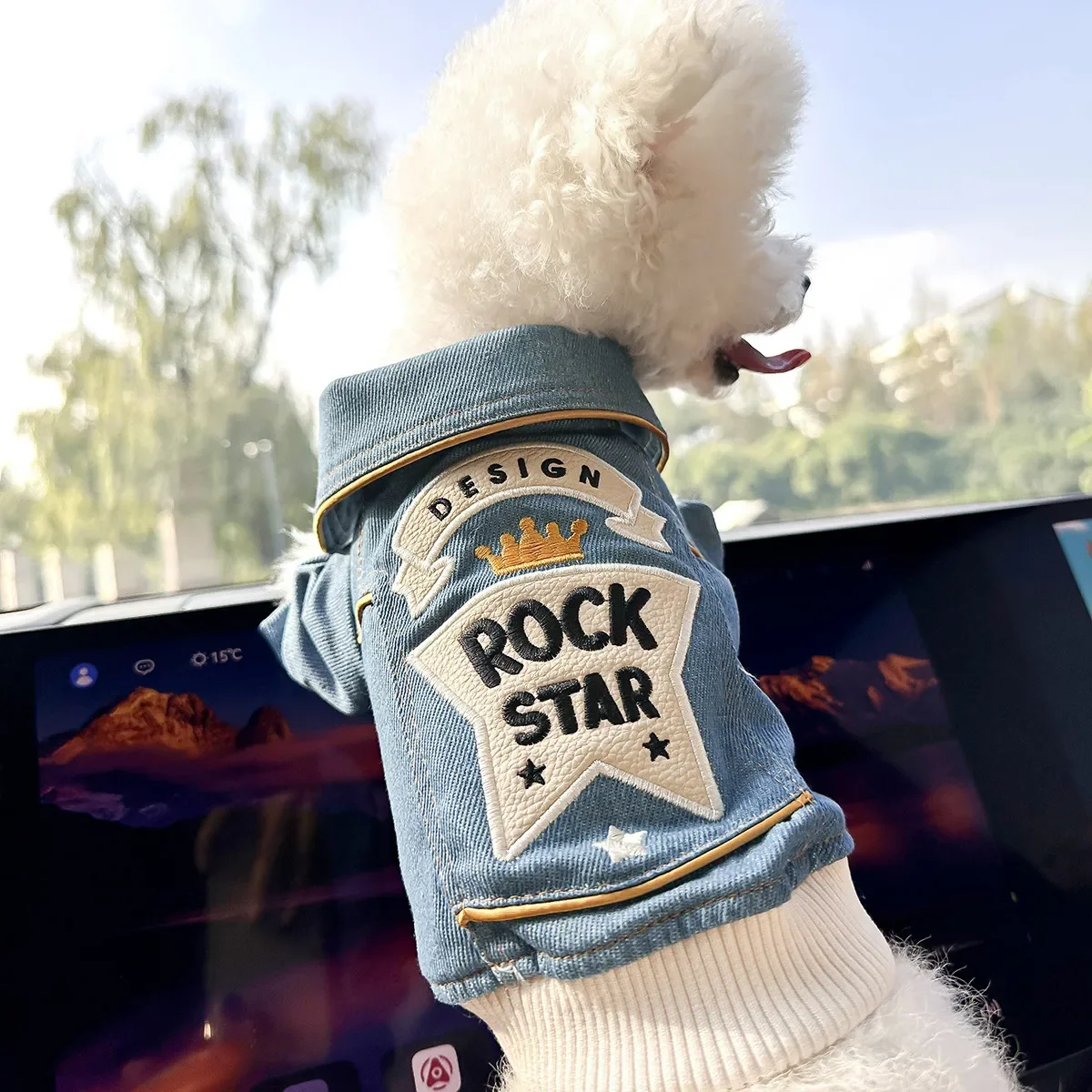 

Stylish Denim Dog Jacket With Embroidered Star Champion Little Princess Patch Warm Autumn Winter Pet Clothes For Small Dogs And