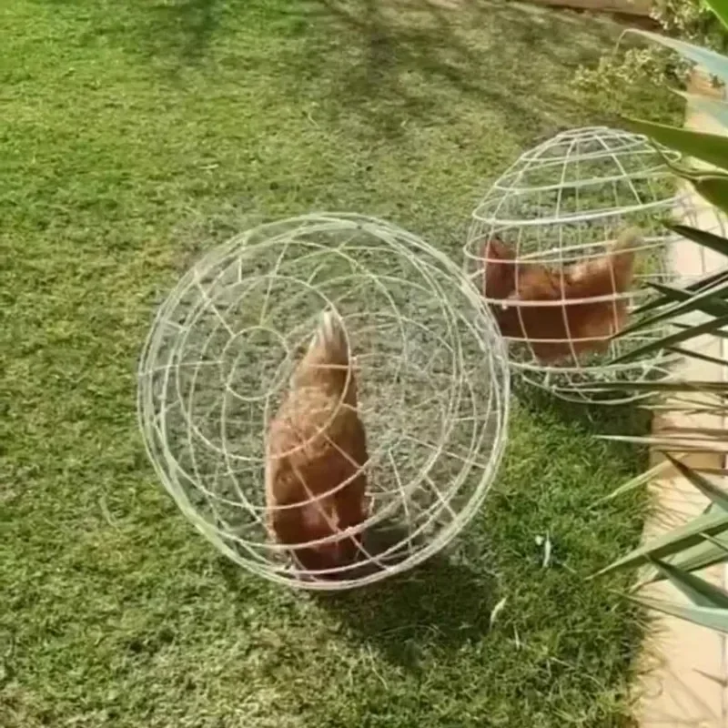 Plastic Spherical Chicken Cage Farm Scenic Area Net Red Walking Chicken Cage Newly Cut Rolling Protective Cage