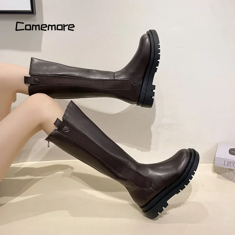 Comemore Women Heels Fashion Slip on Shoes Ladies Elegant Thick Sole Long Knight Boot Demi-season Platform New Winter Punk Boots