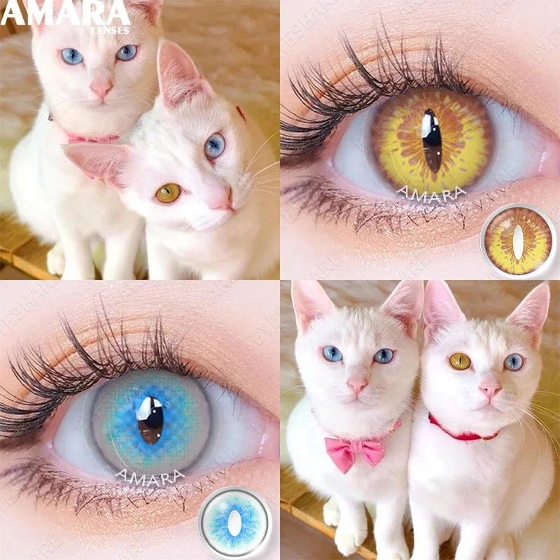 AMARA CAT EYE Cosplay Blue Color Contact Lenses for Eyes Yearly Makeup Halloween Beauty Yellow Contact Lenses Eye Cosmetic