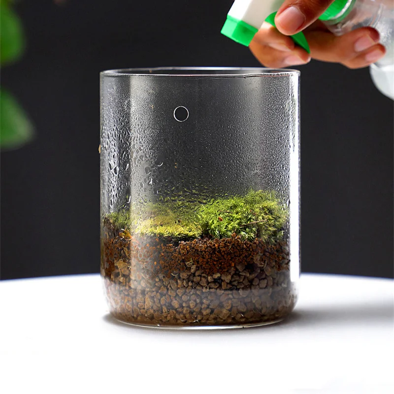 Landscape Moss Vase Indoor Planting Moss Plant Pots Eco Bottle Micro Hole Landscape Glass Cover Perforated Moss Greenhouse Cup