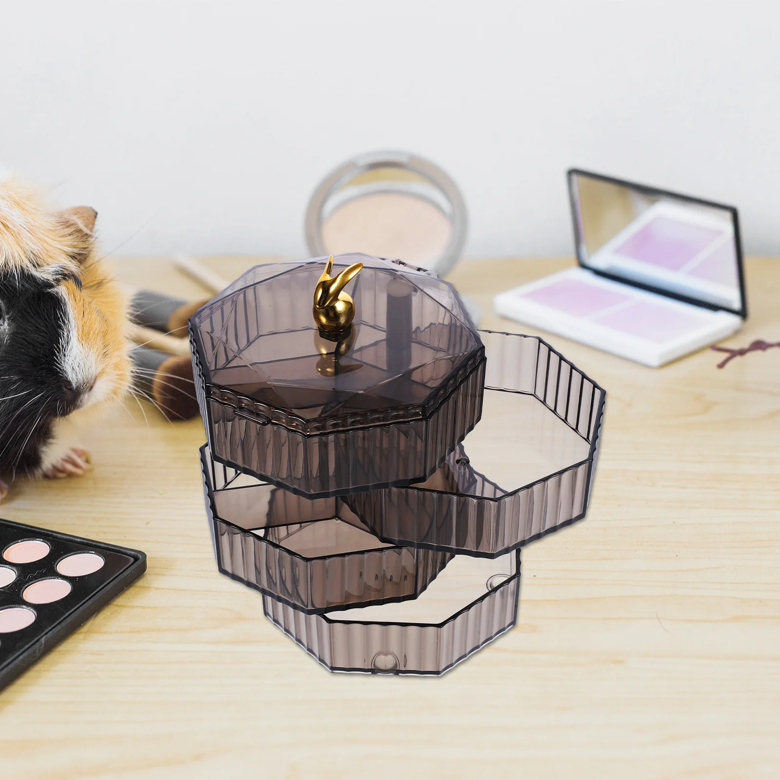 

Dresser Earrings Organizer Storage Boxes Jewelry Case for PP Organiser Jewellery Container