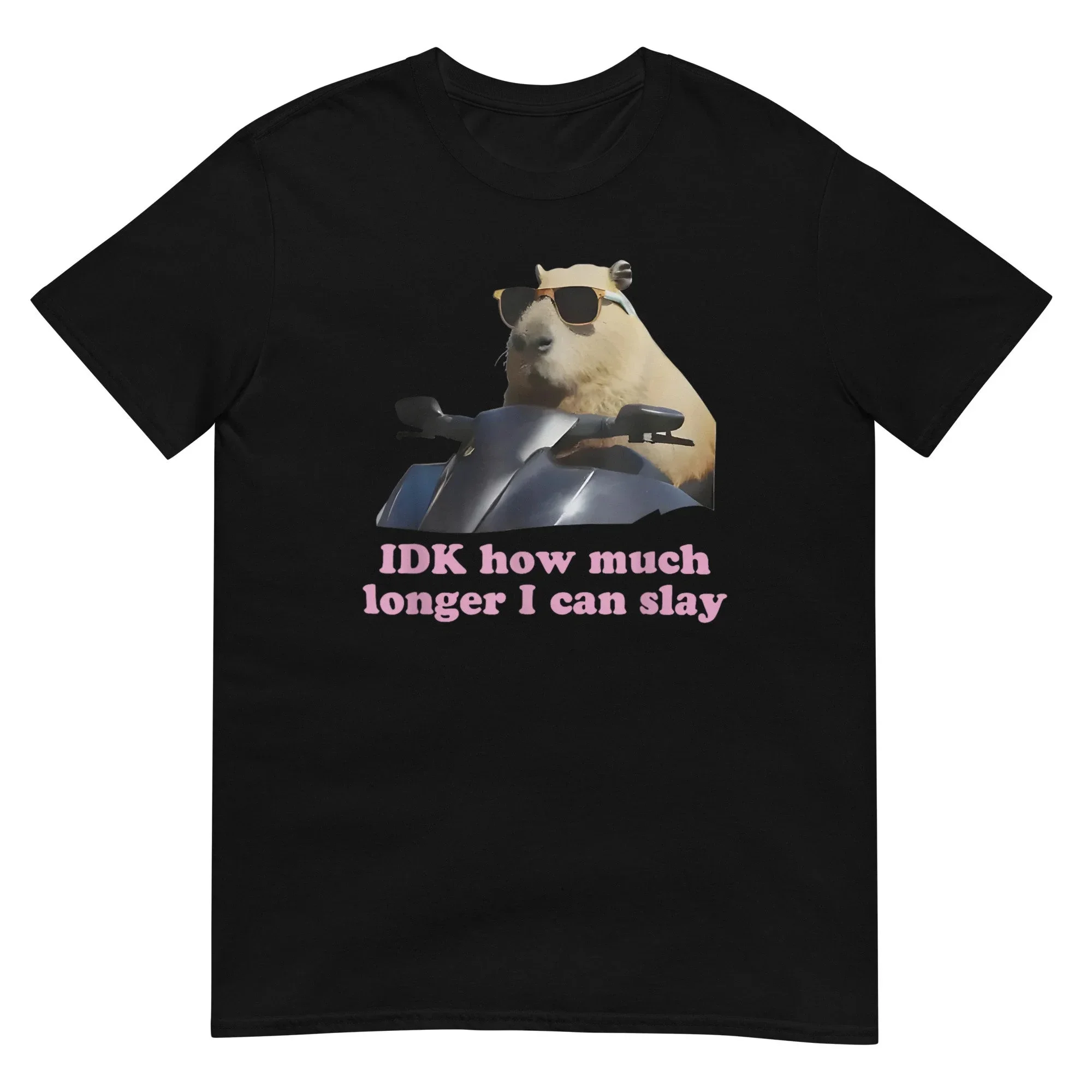 Camiseta suave con gráfico de Capibara divertido para mujer, camiseta informal con estampado de IDK How Much Longer I Can Slay, ropa informal cómoda para mujer