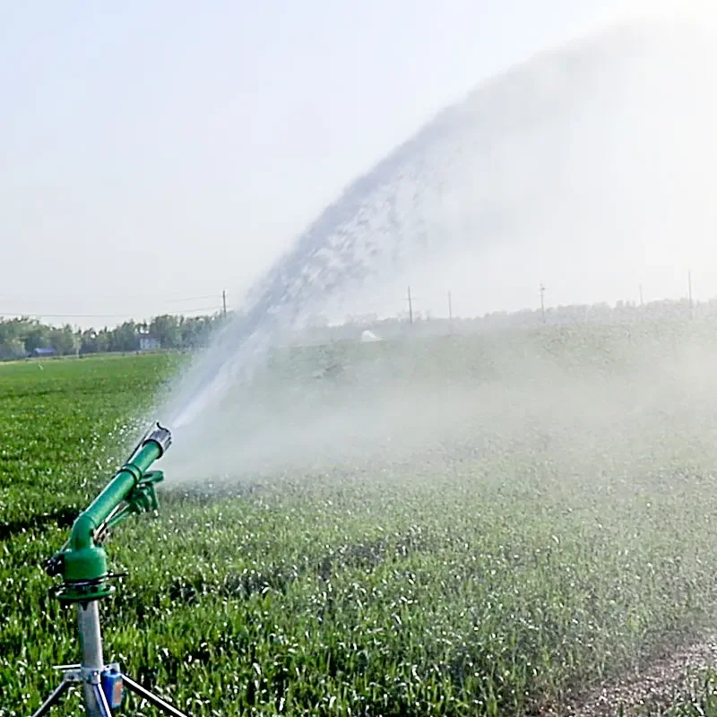 

Agricultural Maize Farm Sprinkler 360 Rotation Big Gun Sprinkler Irrigation System 50m