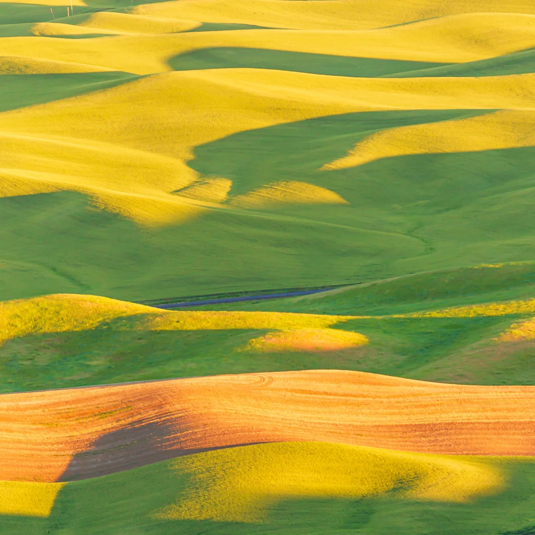 For Land Rover Disc… - image