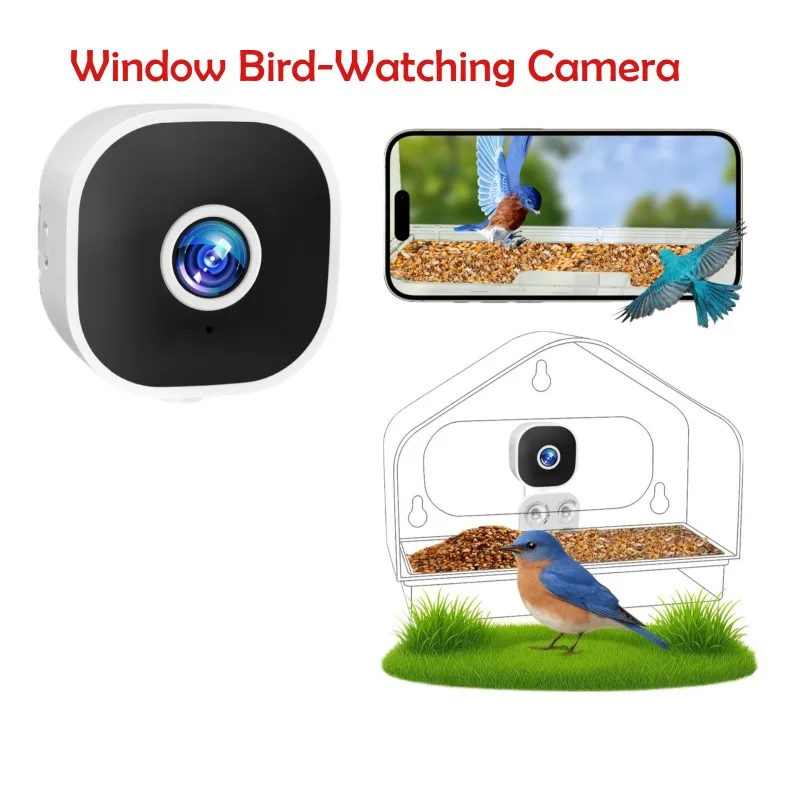 Telecamera per birdwatching con finestra da 2,5K Luce nera Registrazione a colori 24 ore su 24 Design alimentatore per colibrì Wi-Fi 6 2.4G Fino a 512G Scheda TF