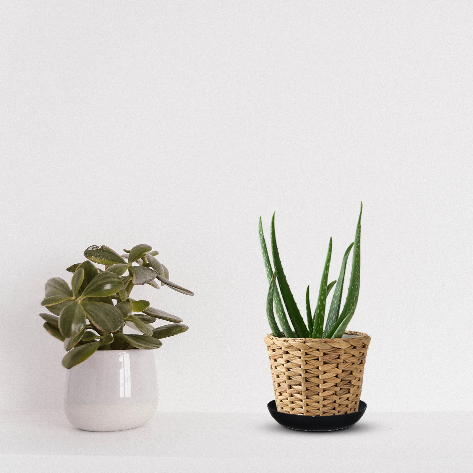 

25Pcs Plastic Plant Pot Trays Simple Design No Soil Fall Balcony Bonsai Household Flowerpot Accessory Flowerpot Trays