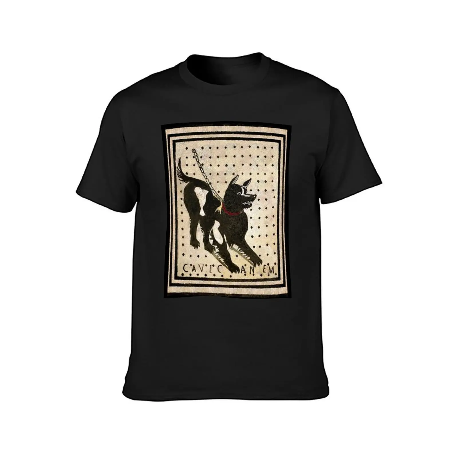 Beware of dog ( Pompeii dog mosaic ) T-Shirt anime clothes Aesthetic clothing men workout shirt