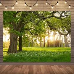 Forest and tree photography background, blooming flowers, green grassland, natural photo background