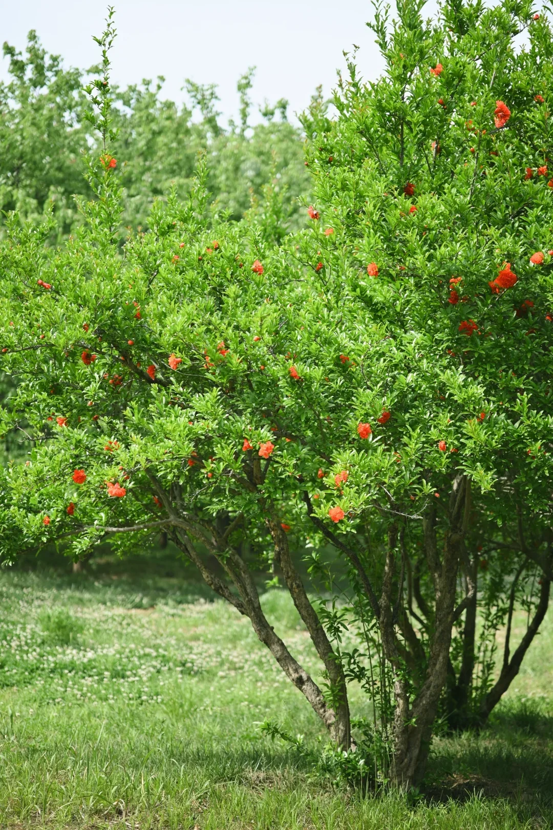 

Для Infiniti Fx Fx35 Fx45 2003-2009 Android13 Автомобильный радиоэкран 2din Стереоприемник Авторадио Мультимедийный плеер Gps Navi