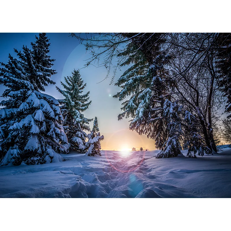 Phong Cảnh Thiên Nhiên Nền Chụp Ảnh Mùa Xuân Cảnh Quan Du Lịch Hình Phông Nền Phòng Thu Đạo Cụ 2196 SSL-04