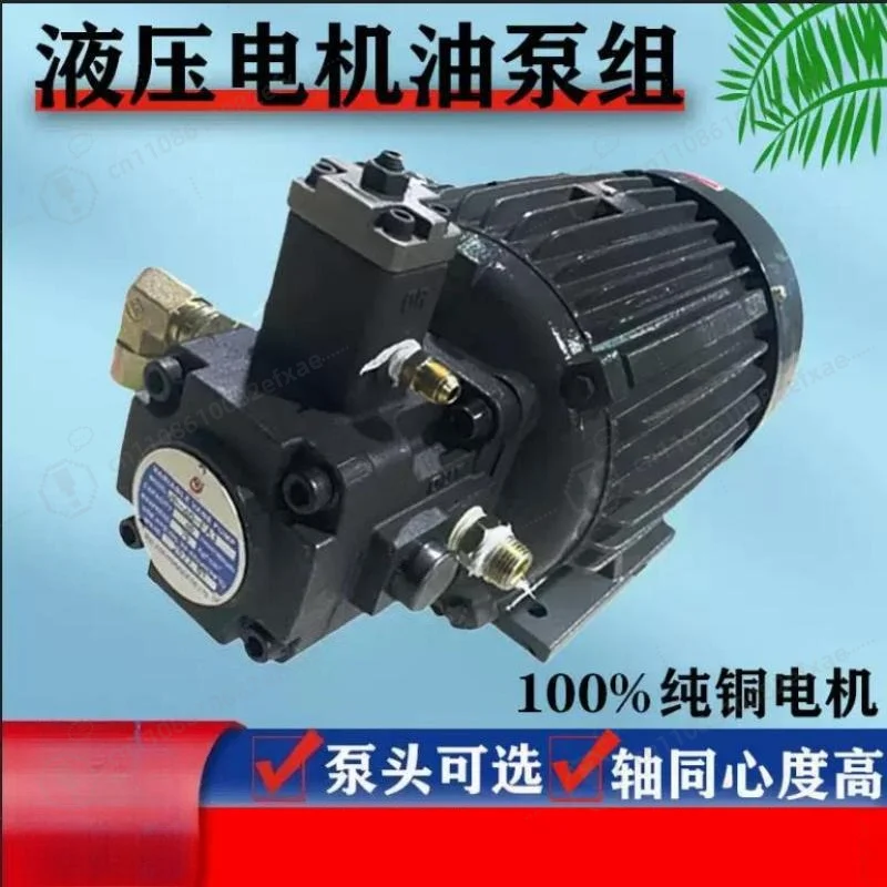 0.75KW 1.5KW 2.2KW Hydraulic Vane Pump Motor Group VP15 VP20 VP30 Oil Pump Unit for Machine Tool and Injection Molding