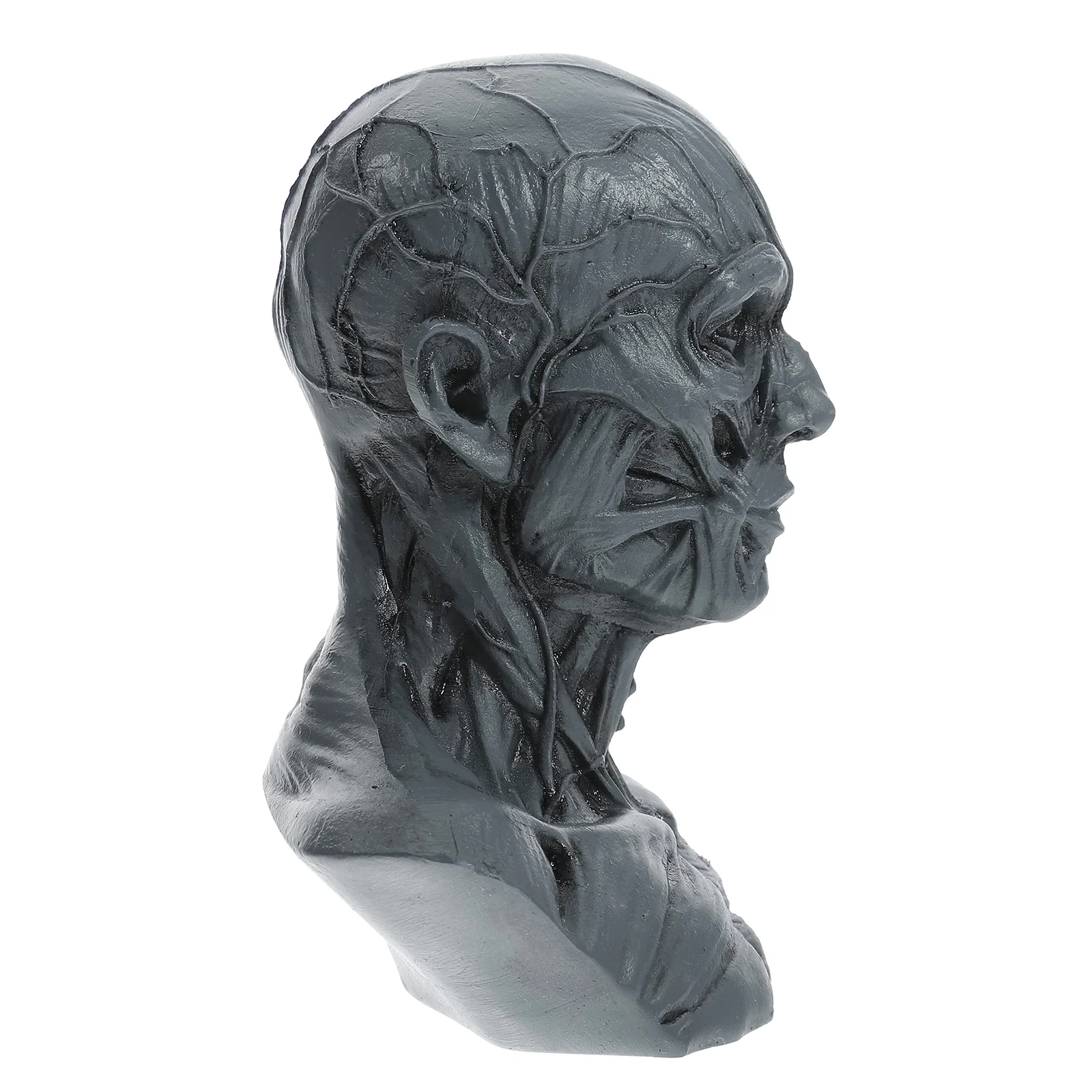 Sketch Statue Artist Painting Model Decorations Medical Sculpture Design Drawing Resin Human Head Creative Ornament