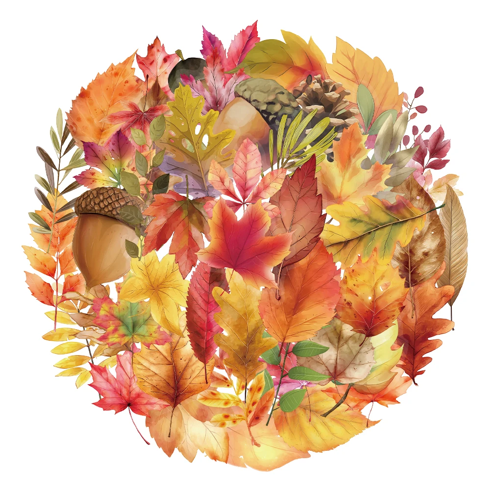 50PCS Creative Autu…