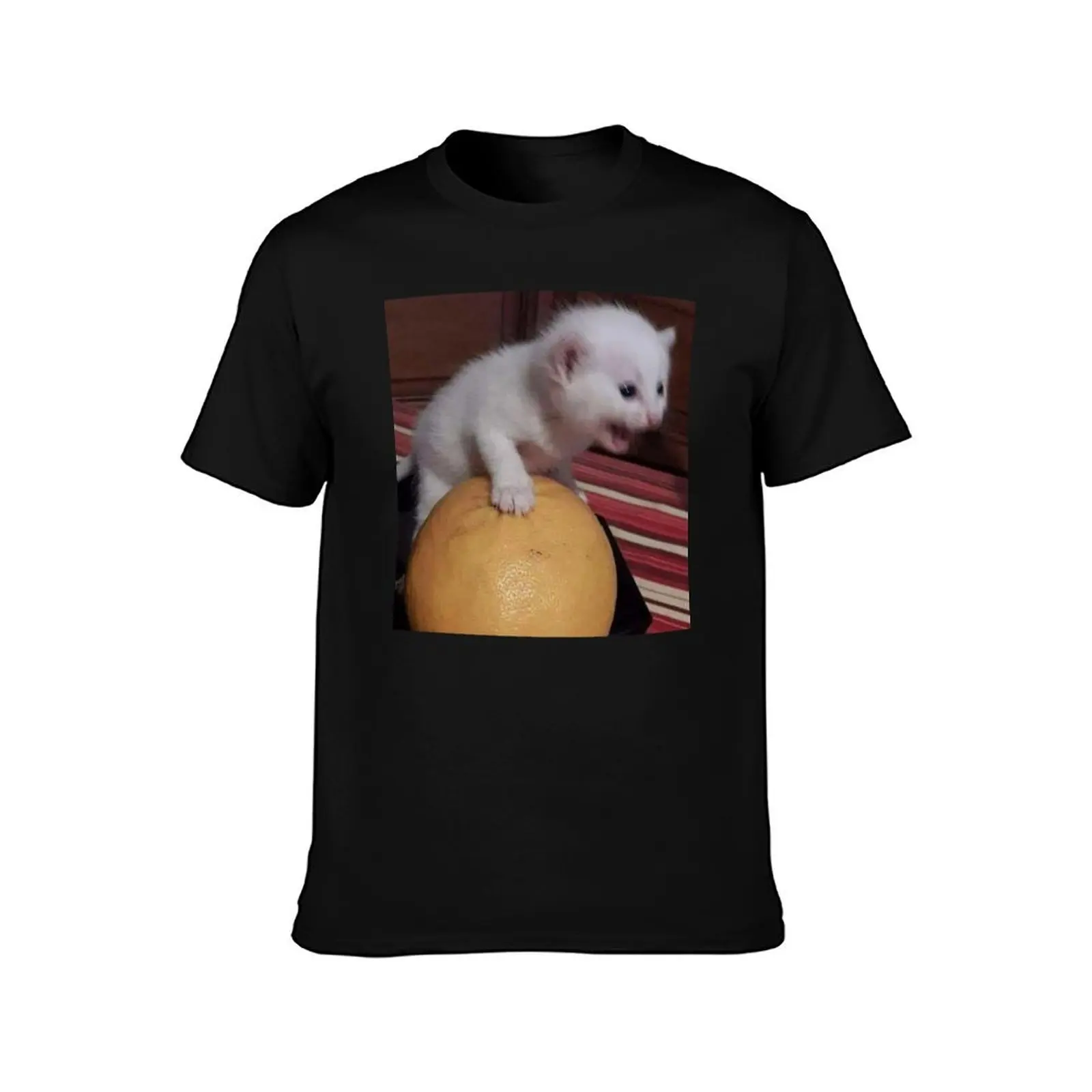 Kitten Screaming while Holding Orange T-Shirt Plus Size Solid Color T-Shirt