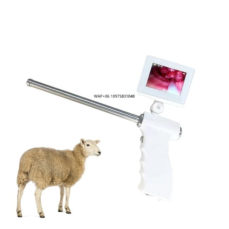 Sheep and goats Visual breeding Artificial insemination tools Veterinary equipment for farms
