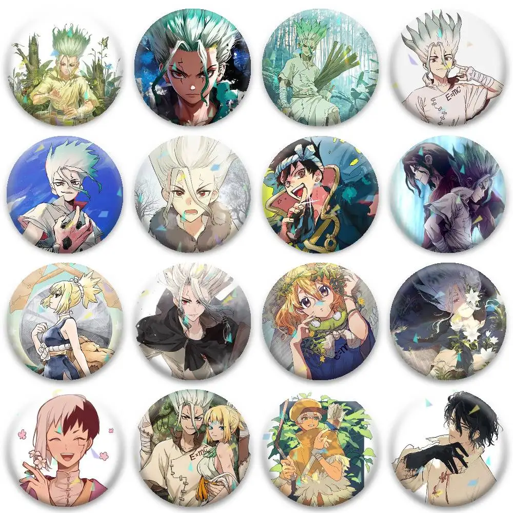 

D-Dr. Stone Badges Niche Design Brooch for Backpack Lapel Pins Creative Accessories
