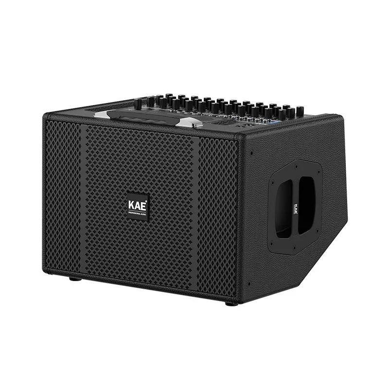 Digital Lossless Stereo Outdoor Portable Live Karaoke Musical Instrument Audio