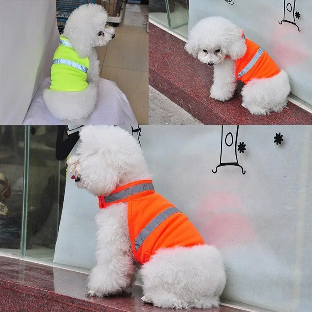 Gilet réfléchissant de sécurité haute visibilité pour chien, manteau confortable et respirant, pour animaux de compagnie, Orange et vert, livraison