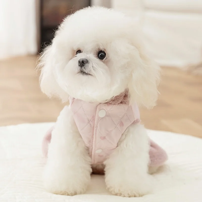 Thumbnail 4 - #15 Trending Puppy Coats Right Now