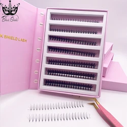 1000/750 Fans Pointy Base Wispy 5D 7D C/D Curl Promade Lash Fans Extension Wispy Russia Sandwich Spikes False Lashes Extensions