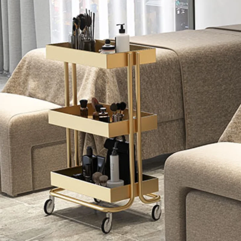 

Aesthetic Cart Reception Furniture Organizer Auxiliary Drawers Tool Trolley Hairdressing Carts Cosmetic Trolley Con Ruedas