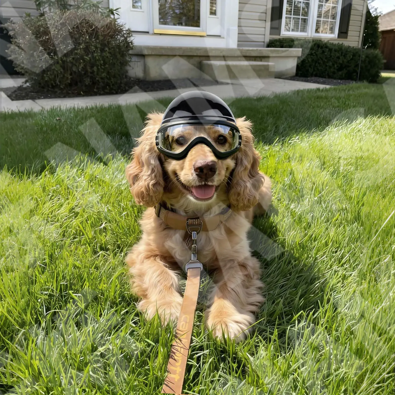 Dog Sunglasses and Pet Helmet Set,Dust Wind UV Protection Dog Glasses Dog Helmet and Goggles Adjustable Dog Motorcycle Helmet - view 3