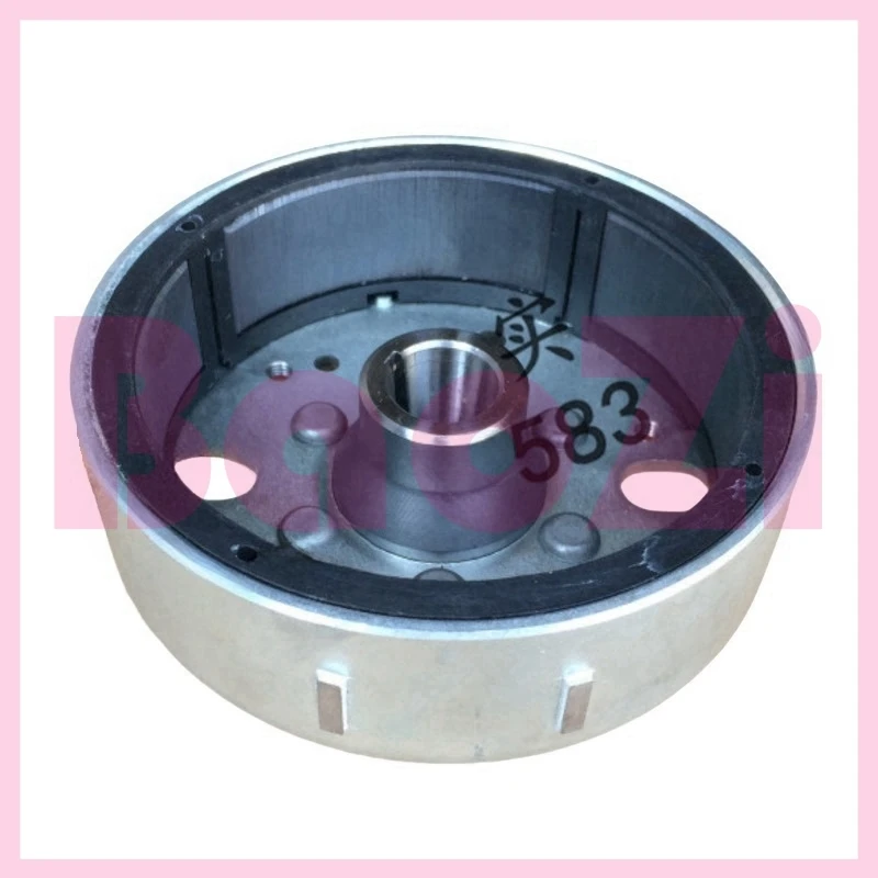 Magneto Rotor for Piaggio Scooter 100 Models