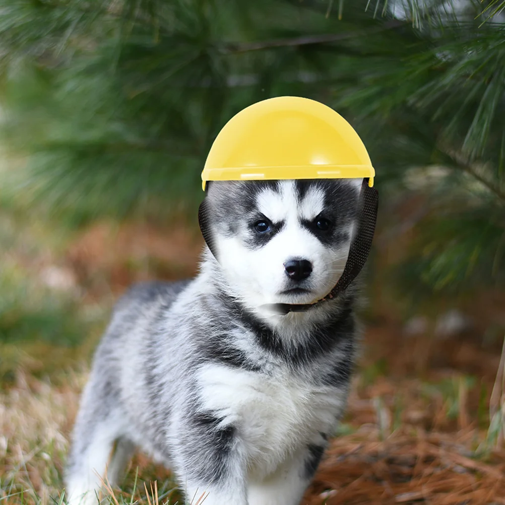 

Plastic Dog Novelty Dog Headgear Plastic Cat Pet Safety Hat Pet Cosplay dog hat novelty dog