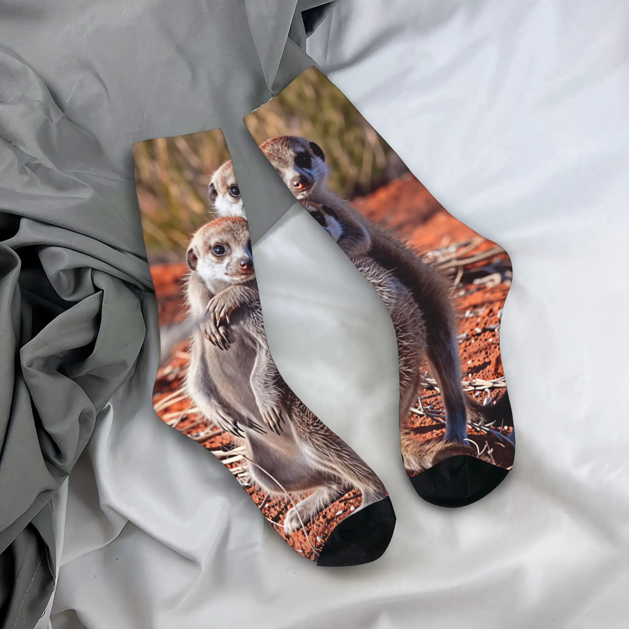Two Baby Meerkats Hugging On Red Soil Socks  Non Slip Stockings Men's Soft Breathable Running Socks Spring Funny Graphic Socks