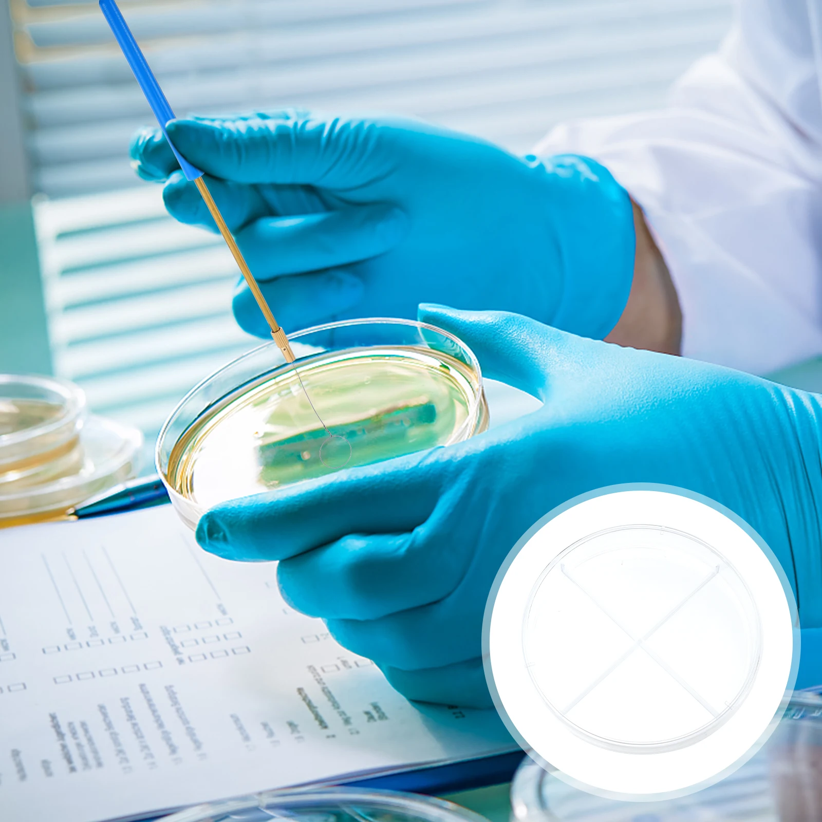 

10Pcs Cell-Culture Dish Transparent Plastic Four-Compartment Scientific Experiment Tool for Biology Lab Research Teaching Aid