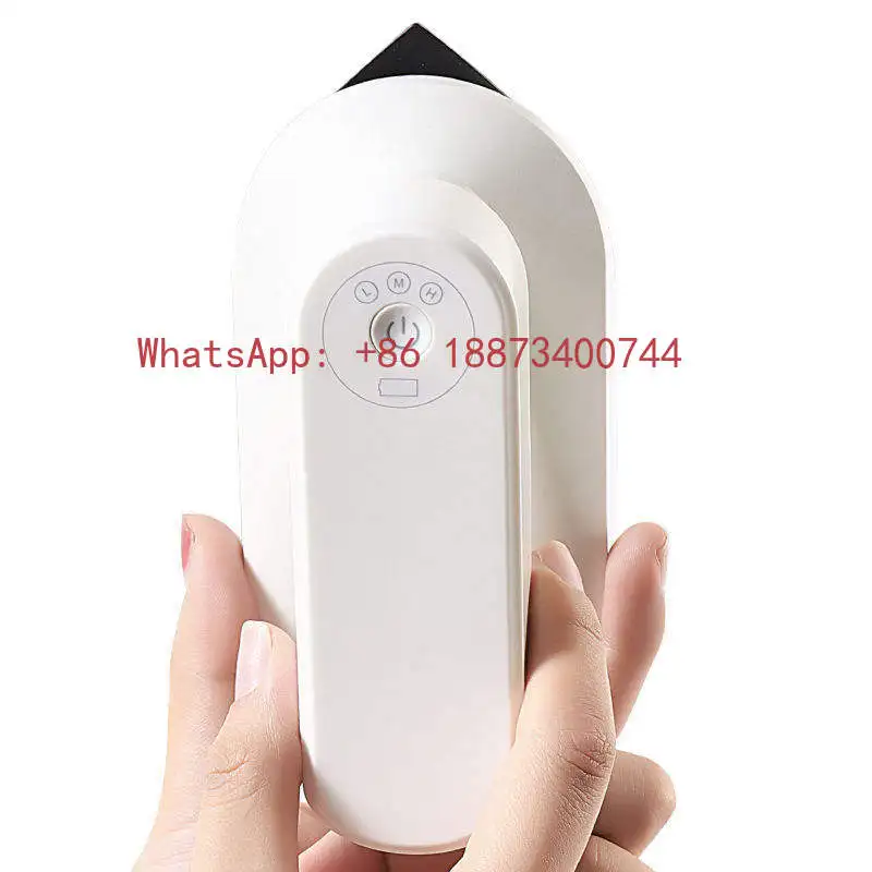 

Hot sales Mini Usb Portable Rechargeable Wireless Electric Cordless Steam Iron Travel Iron Wet and Dry Handheld Garment Steamer