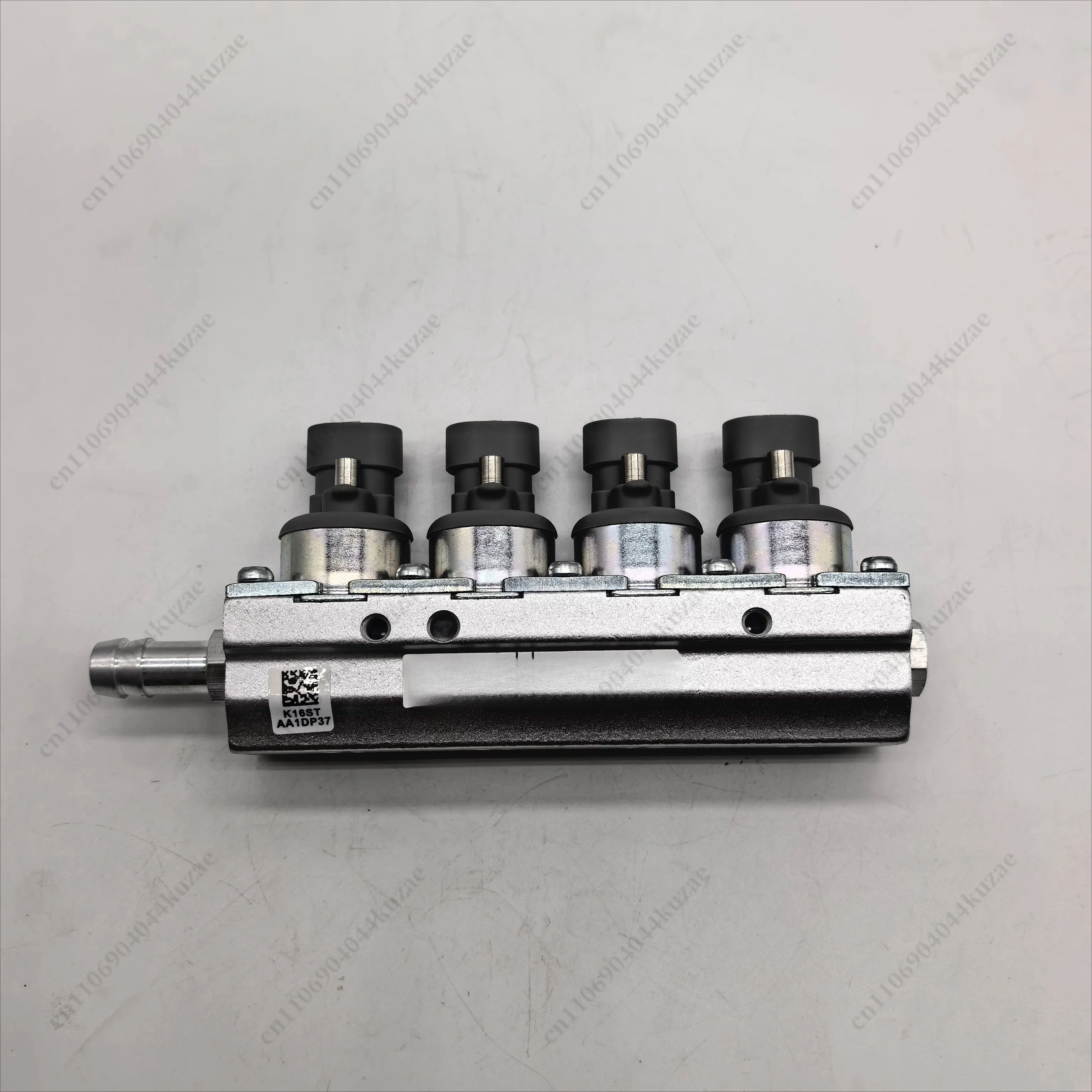 High Speed Gas Injection Rail, LPG/CNG Fuel Injection Valve with Imported Valve Core for Vehicle Fuel Conversion System