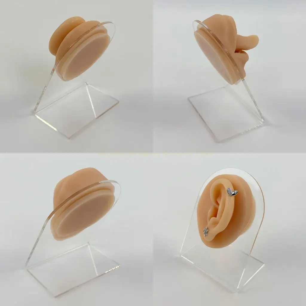 textura-realistica-do-instrutor-piercing-tratamentos-faciais-para-laboratorios-esteticos-da-educacao-dental