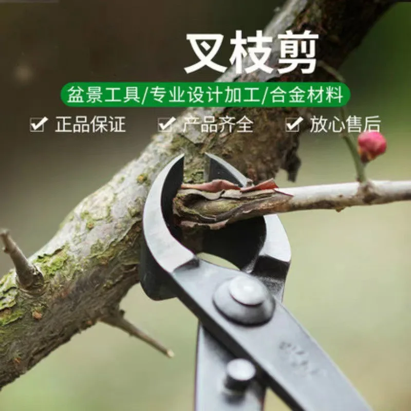Garden Tree Branch Cutting Forged Steel Round Head Scissors Bonsai Tools Garden Tree Cutting Bonsai Shaping Tools