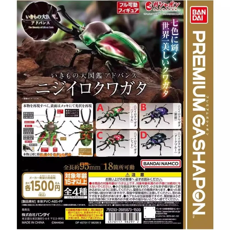 

Bandai Gacha Biological Rainbow Stag Beetle Insect Simulation Hands-on Model in Stock, A Festival Gift for Children