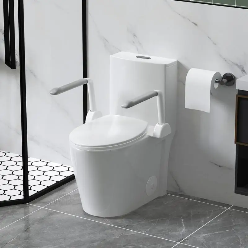 Upgraded Design Armrest One-Piece Toilet, 1.1/1.6 GPF Dual Flush, Siphonic S-Trap 12