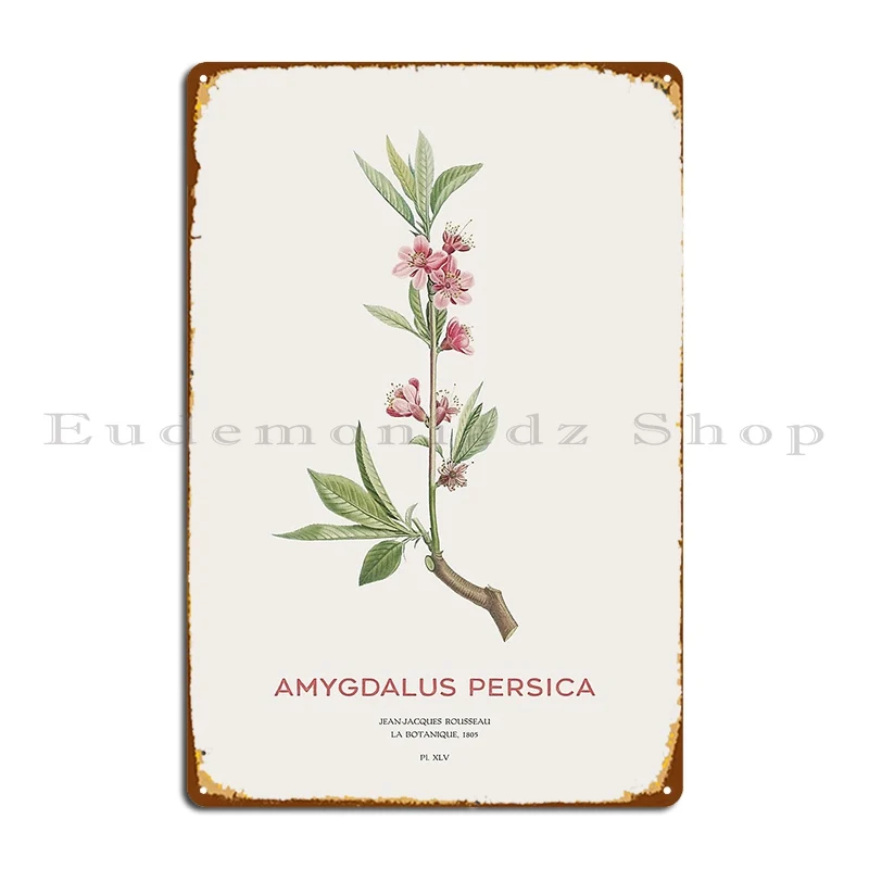 Peach Flowers Or Amygdalus Persica Metal Sign Wall Decor Wall Plaque Home Custom Kitchen Tin Sign Poster