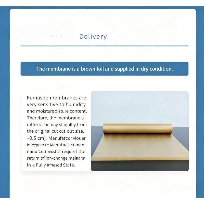 Fumasep FAB‑PK‑130 Anion Exchange Membrane Alkaline Membrane For Alkaline Fuel Cell AEM Research
