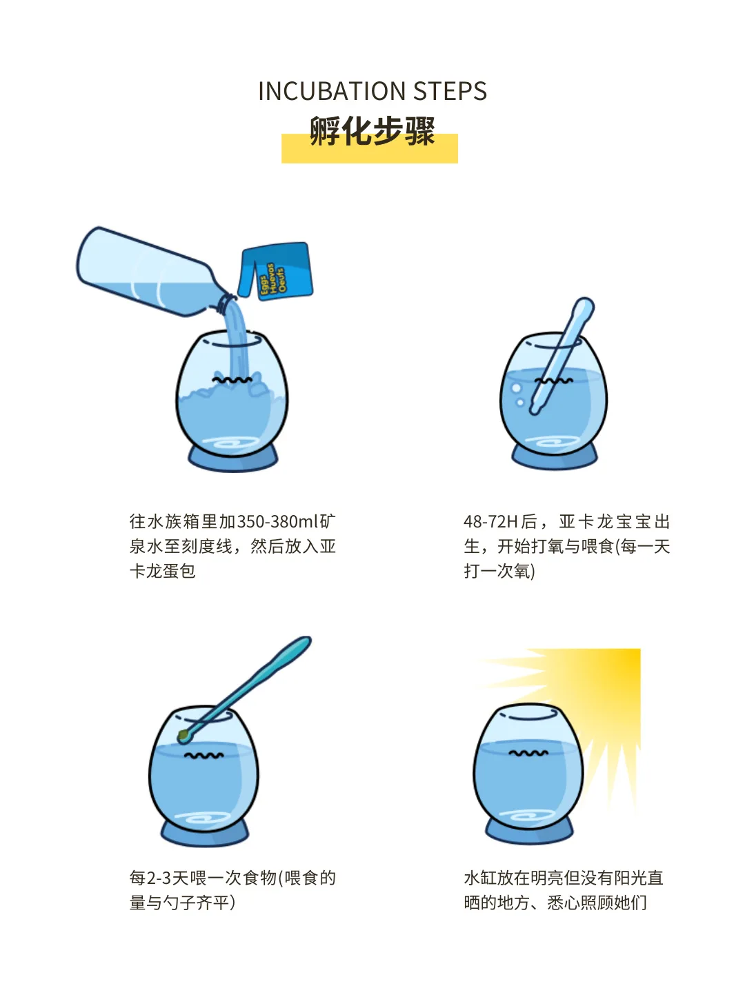 1 pçs verde aquadragons aqua dragões pequeno dragão do mar biológico incubação brinquedo experimental aquadragon brinquedos conjunto para crianças novo