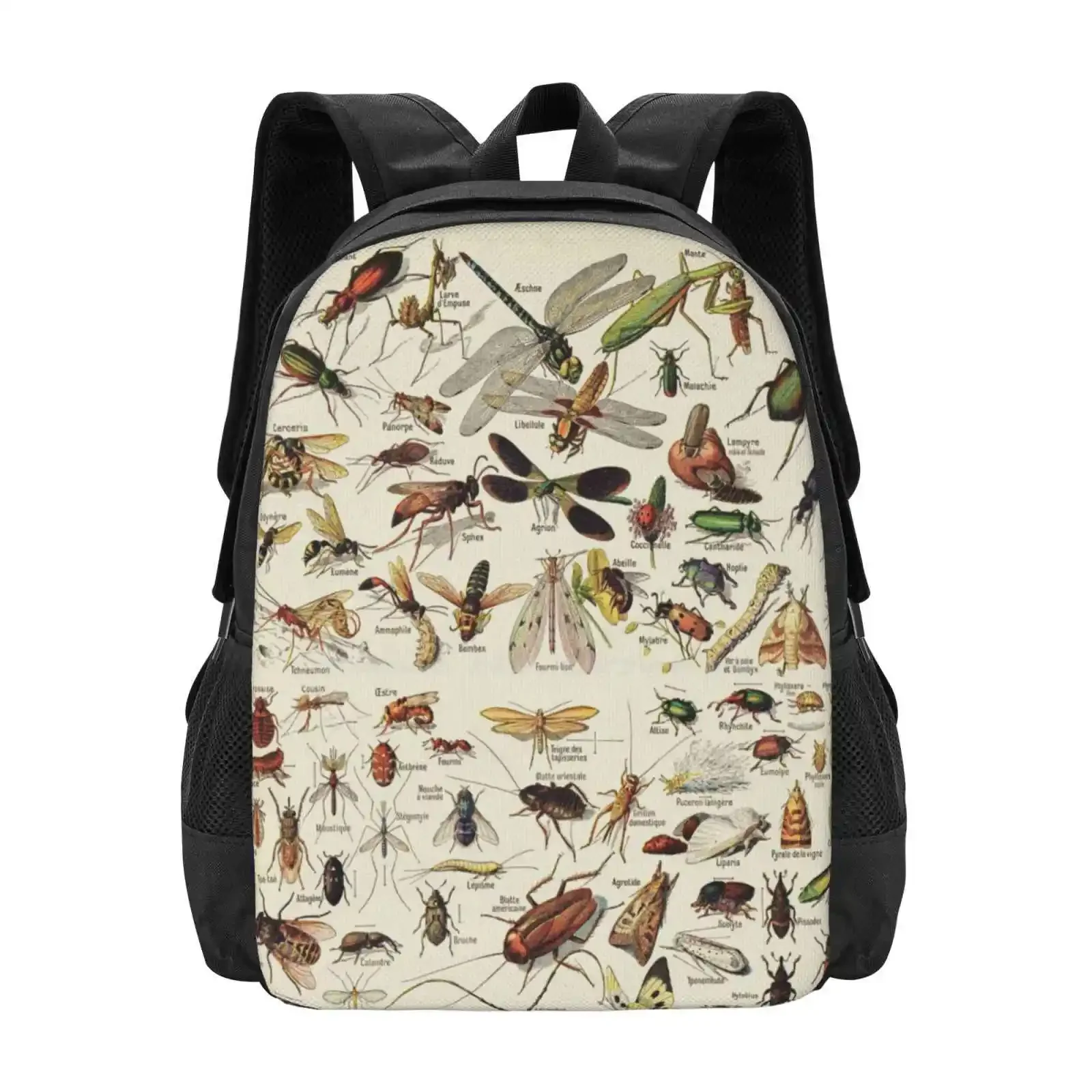 

Insects Chart. Scientific Illustration, Text In French Hot Sale Schoolbag Backpack Fashion Bags Vintage Insects Bugs Entomology
