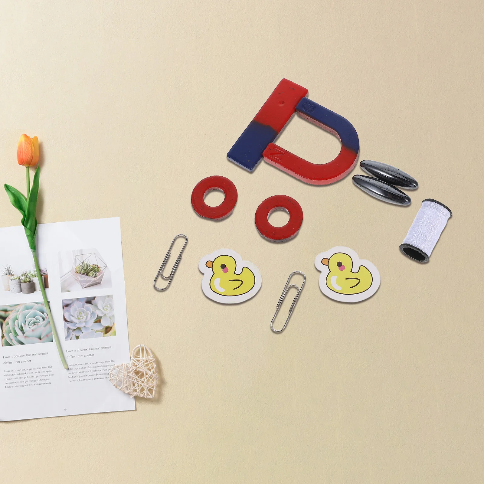 

1 Set Magnetic Science Kit For Kids Physics Experiments Education Hands-On Activities Magnetism Experiment Tools