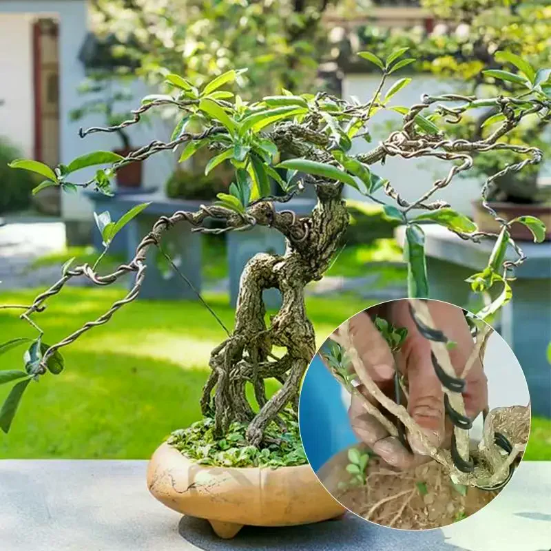 10 M Aluminum Bonsai Training Wires 1 Mm To 3 Mm Orchard Garden Plant DIY Shape Tools Home Use Accessories