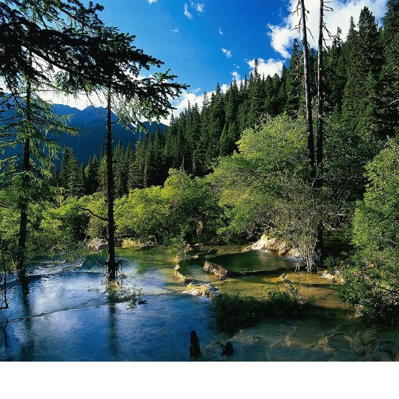 

Foldable Front Windshield Sun Shade For Renault ARKANA UV Reflective Sun Protection Cover Car Interior Accessories