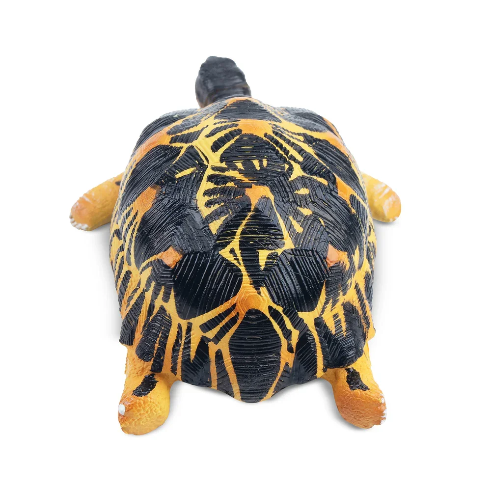 Toymany Simulation Radiated Tortoise Madagascar Animal Model Toy Mini Figures Dolls Action Figurines Toy Children Gife Cake Dec