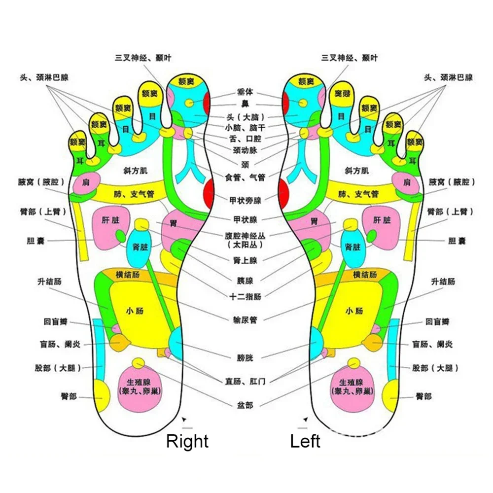 Zapatillas de terapia de acupuntura Tens de pulso para estimulador eléctrico, masajeador muscular relajante de cuerpo completo, Cable de masaje para el cuidado de la salud